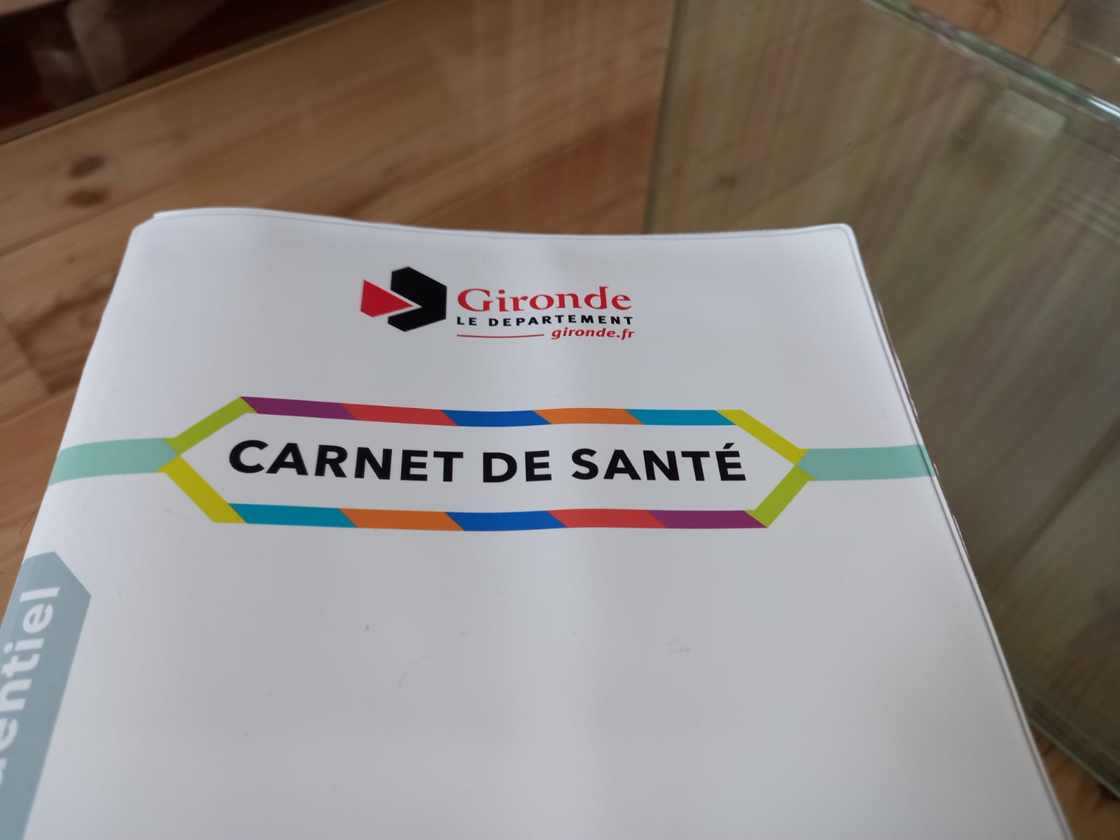  Carnet de sante de la France (French Edition